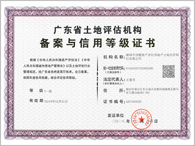 Guangdong Provincial Land Appraisal Agency Filing and Credit Rating Certificate (Level 1)